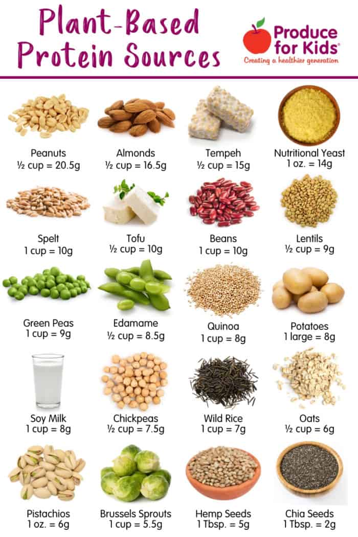 Infographic of plant-based protein sources