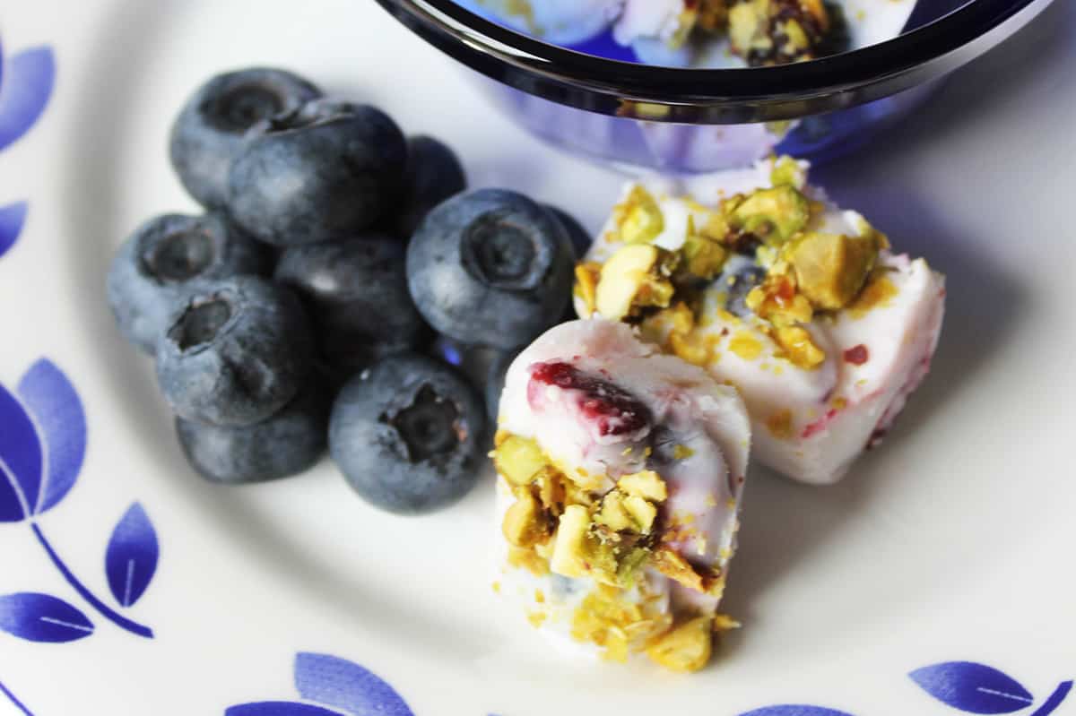 Berry Cherry Frozen Yogurt Bites Recipe Healthy Family Project