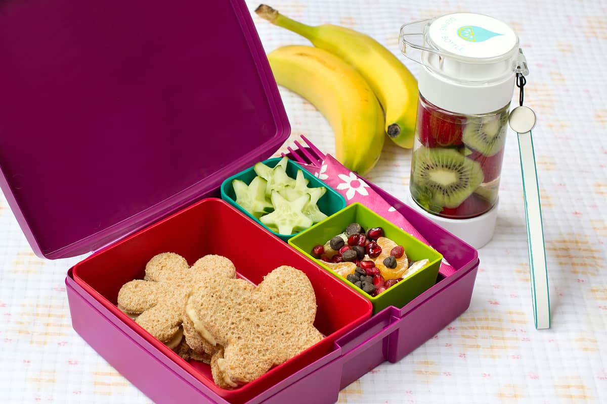 Butterfly Bento Box