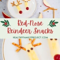 red-nose reindeer snacks new pin