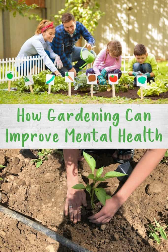 How Gardening Can Improve Mental Health - Healthy Family Project