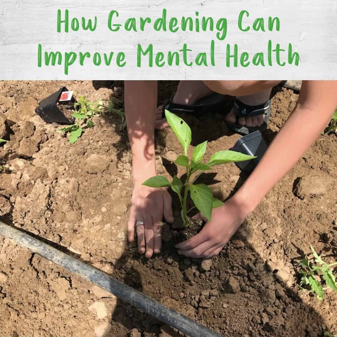 How Gardening Can Improve Mental Health - Healthy Family Project