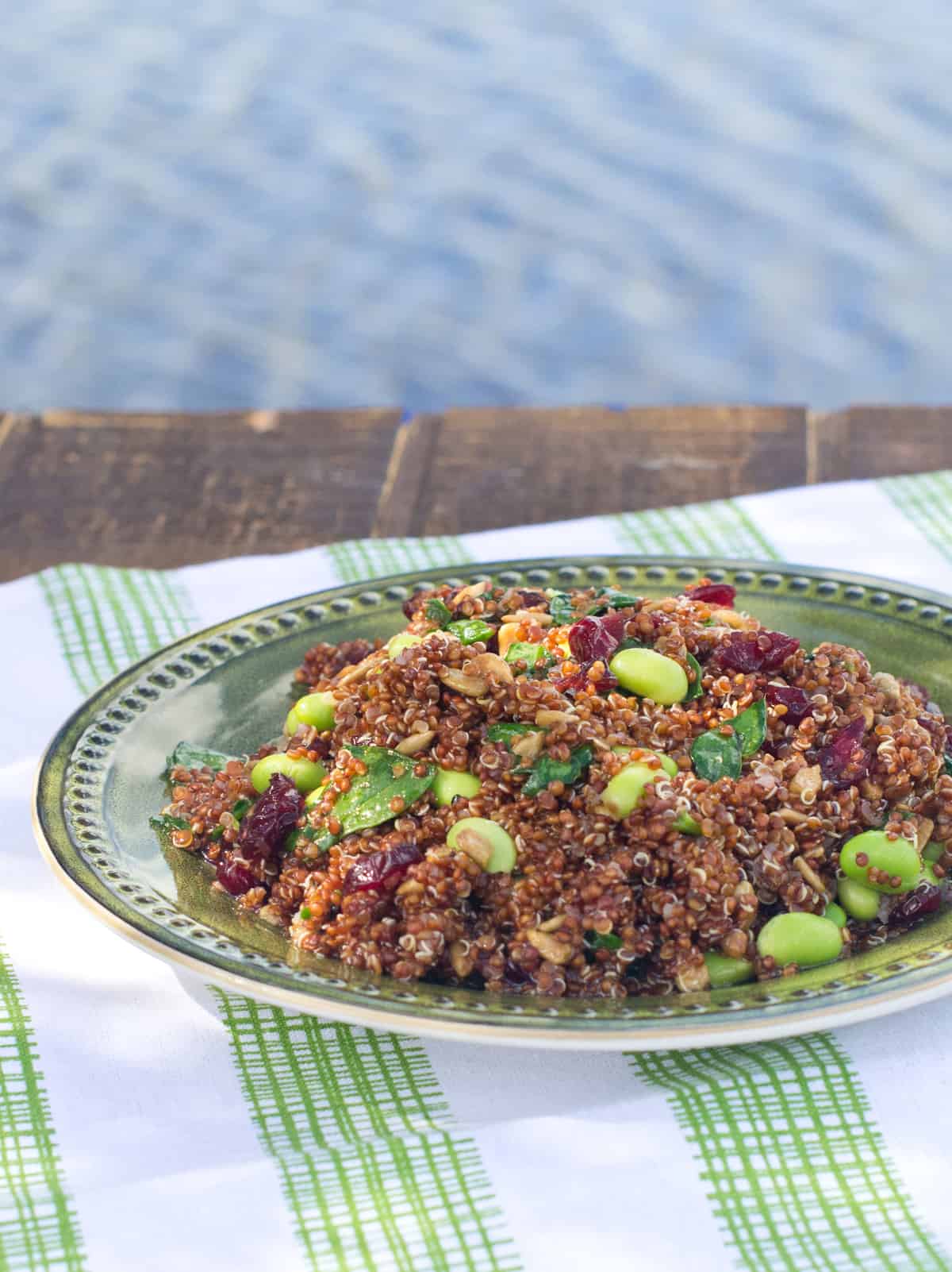 Healthy Cranberry Quinoa Salad on green dish 