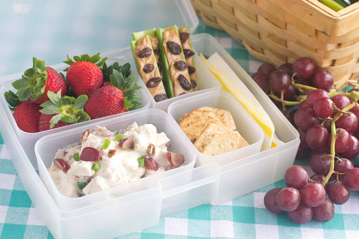 easy picnic bento box 