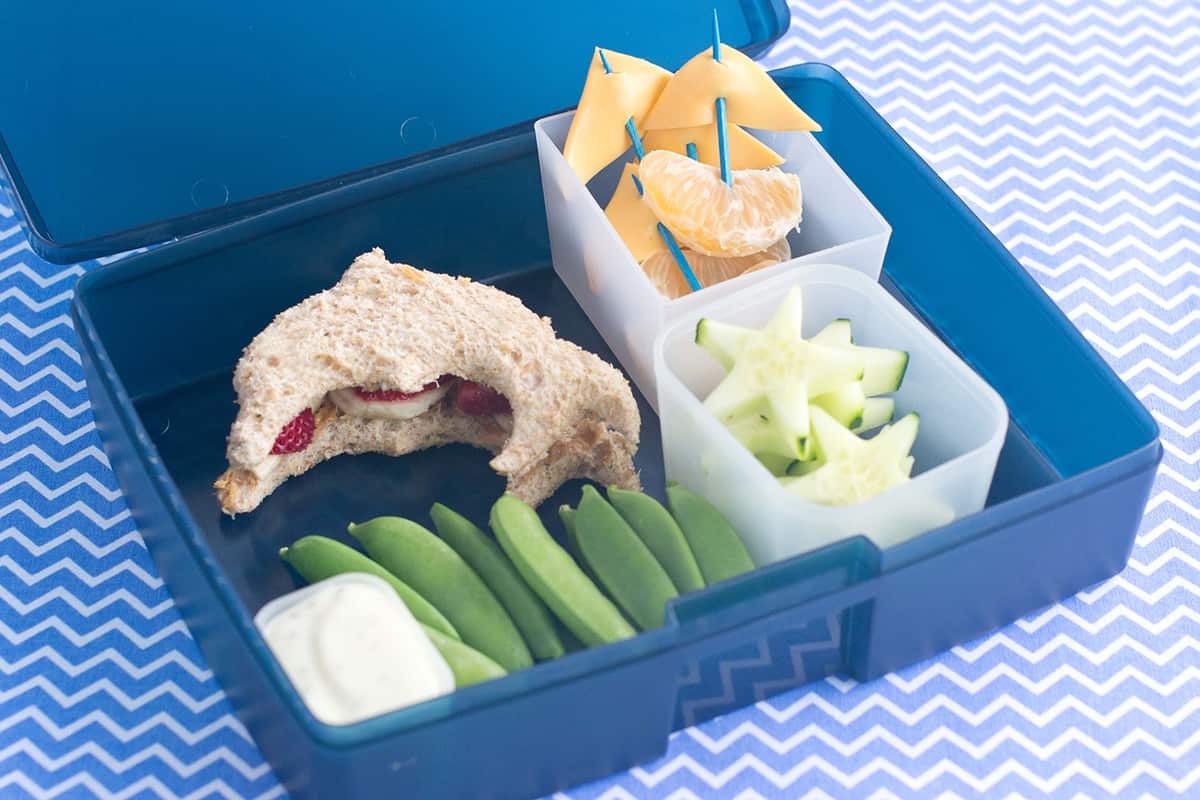 Bento Fun Kids Lunch - Sea Themed Decorated Food 