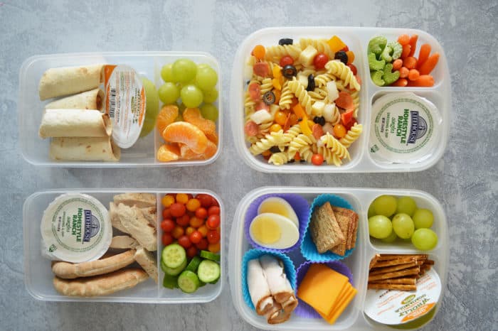 Best Lunch Boxes for Kids - Healthy Family Project