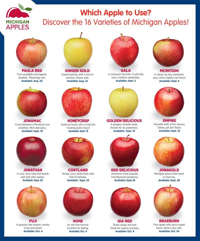 Different types of apples from Michigan
