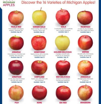 Types of Apples ⋆ 100 Days of Real Food