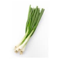 green onions on white background