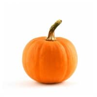 small pumpkin on white background