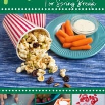 snacks and activities for spring break new pin