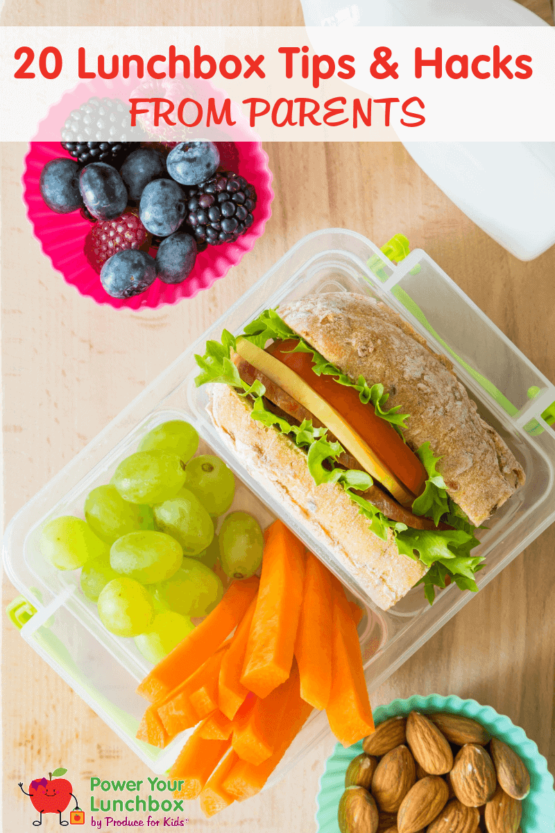 Overhead shot of packed lunchbox with sandwich, carrots, grapes, berries and almonds