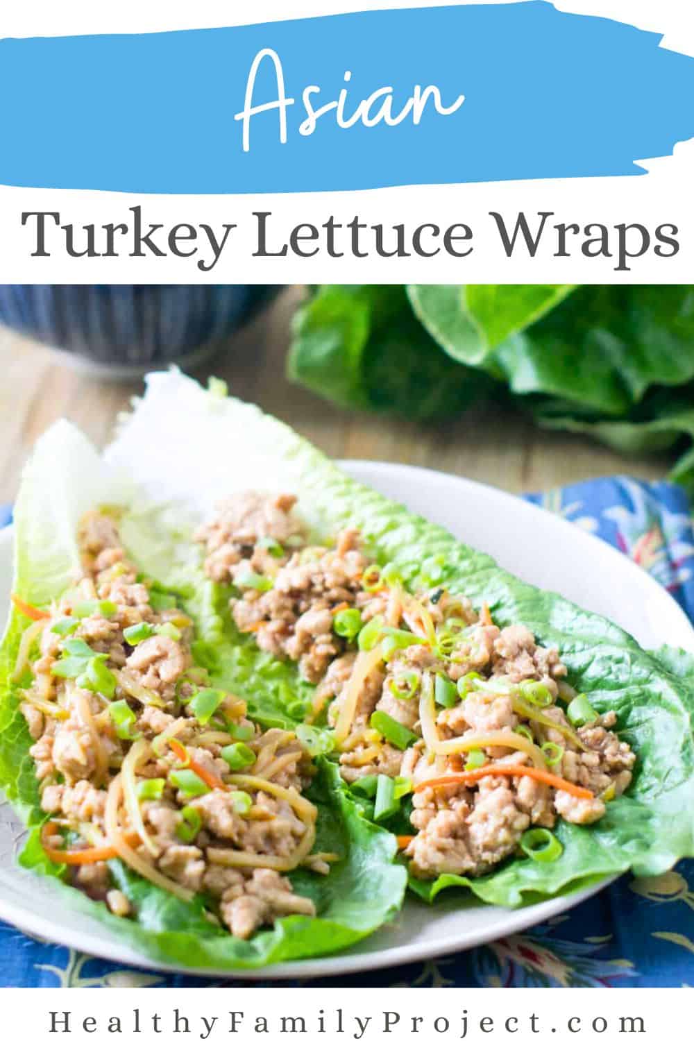 Asian Turkey Lettuce Wraps - Healthy Family Project