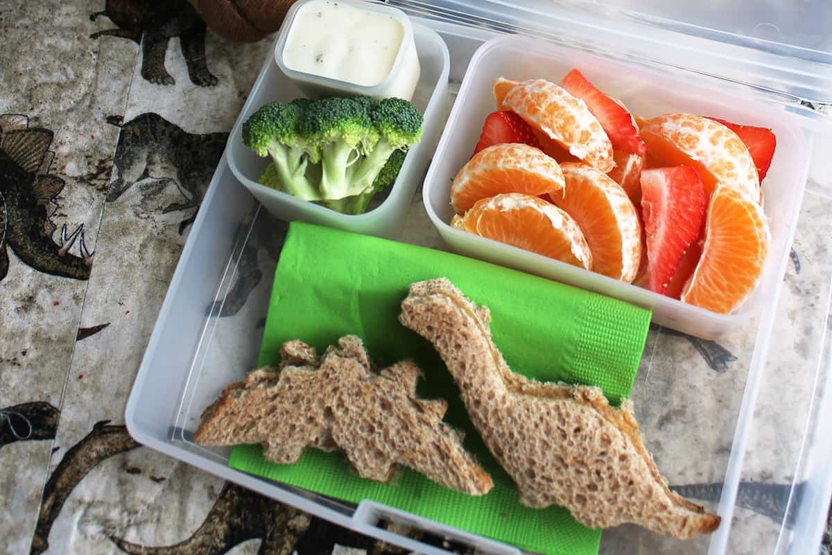 Lunchbox Inspiration- Dinosaur Themed Lunch – LivLaughCook – Easy + healthy  family-friendly recipes