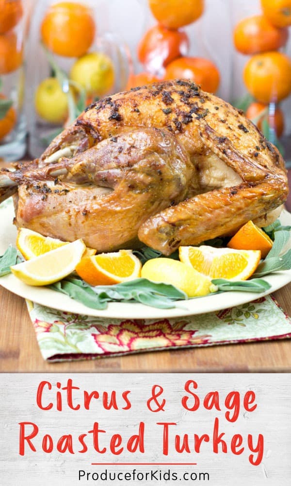 Citrus & Sage Roasted Turkey Recipe | Healthy Family Project