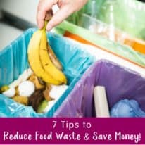 7 Tips to Reduce Food Waste and Save Money