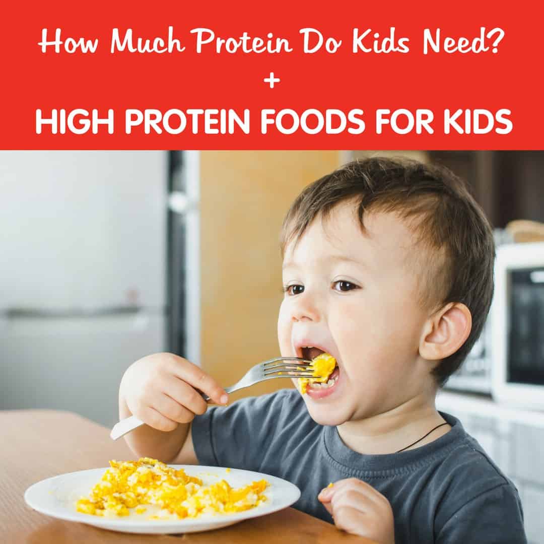 high-protein-foods-for-kids-how-much-protein-do-kids-need-healthy