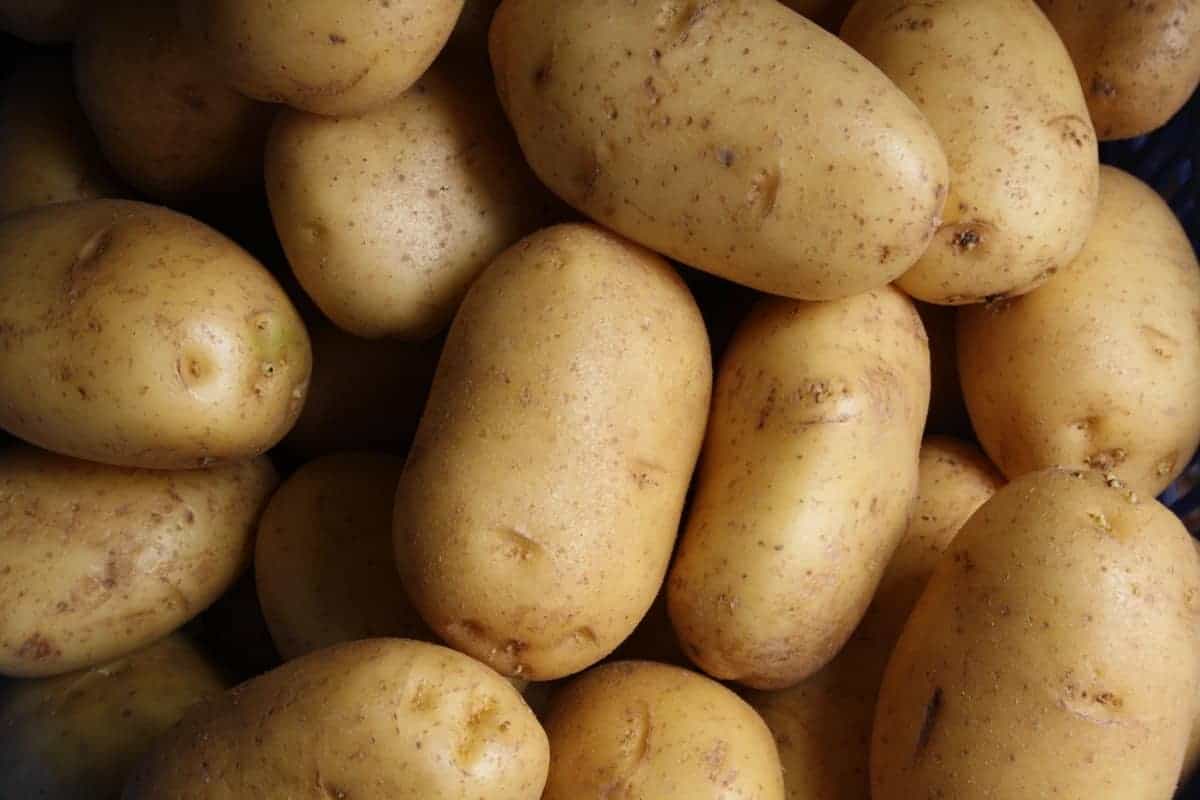  potatoes for Irish Colcannon