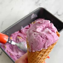 Blueberry Swirl Frozen Yogurt