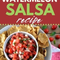 watermelon salsa new pin