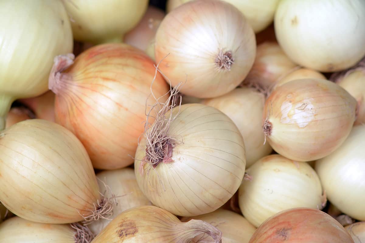 how to make a hearty beef stew recipe 