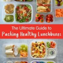 https://healthyfamilyproject.com/wp-content/uploads/2019/09/The-Ultimate-Guide-to-Packing-Healthy-Lunchboxes-3-206x206.jpg