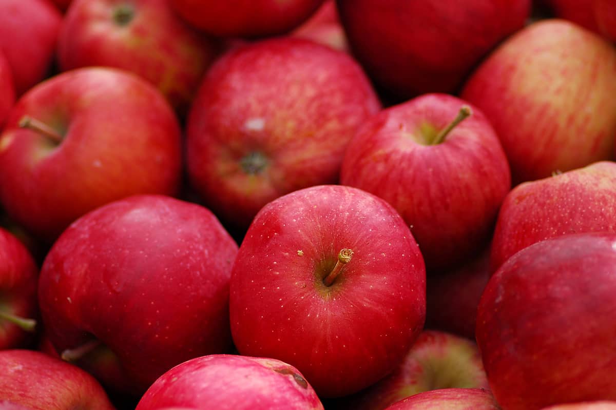 https://healthyfamilyproject.com/wp-content/uploads/2020/05/Apples-background.jpg