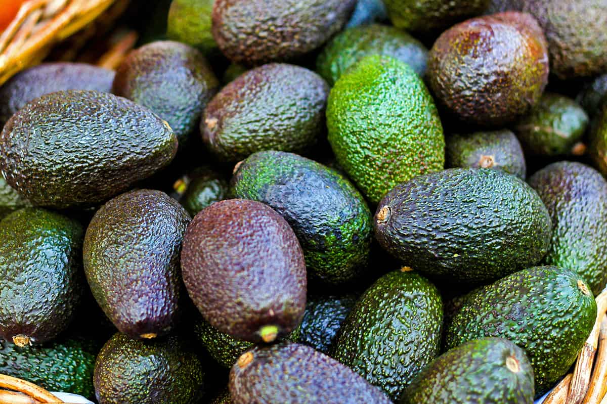 avocados in different shades of green