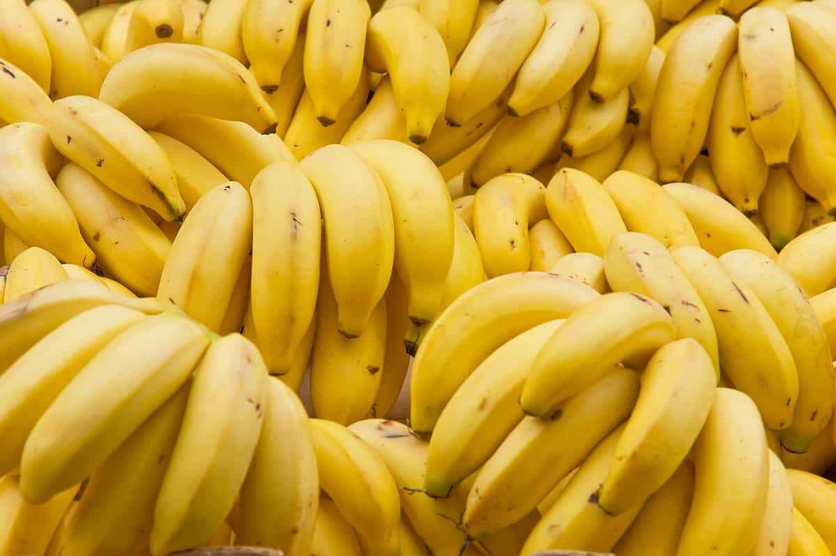 How To Pick The Best Bunch of Bananas