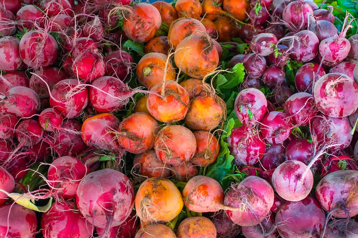 colorful beets