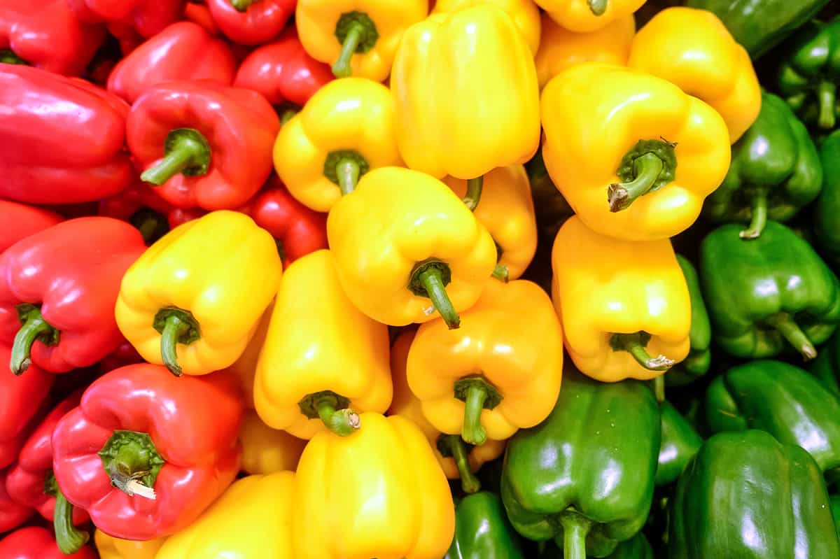 Yellow, red and green bell peppers in Turkey Burgers & Rainbow Salad