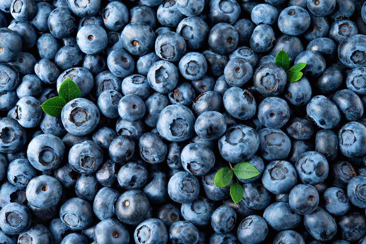 blueberries for firework parfait 