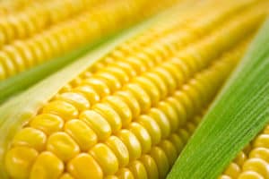 What’s in Season for August | Summer Seasonal Produce | Healthy Family ...