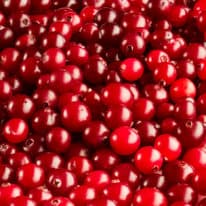 What’s in Season for December?