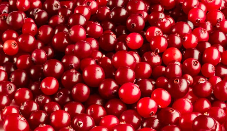 Fresh ripe red cranberries background