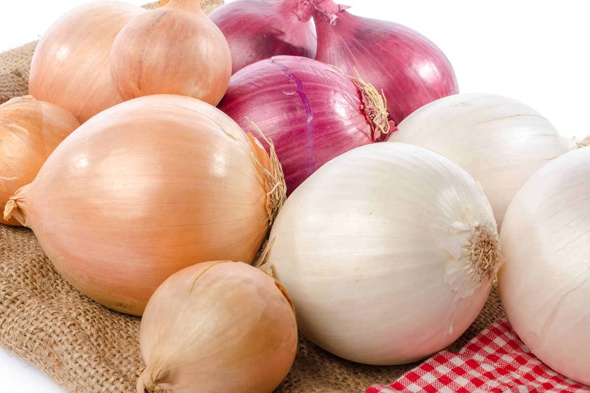 Different varieties of onions. 
