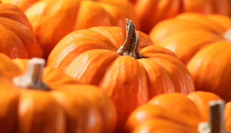 Seasonal Pumpkins produce