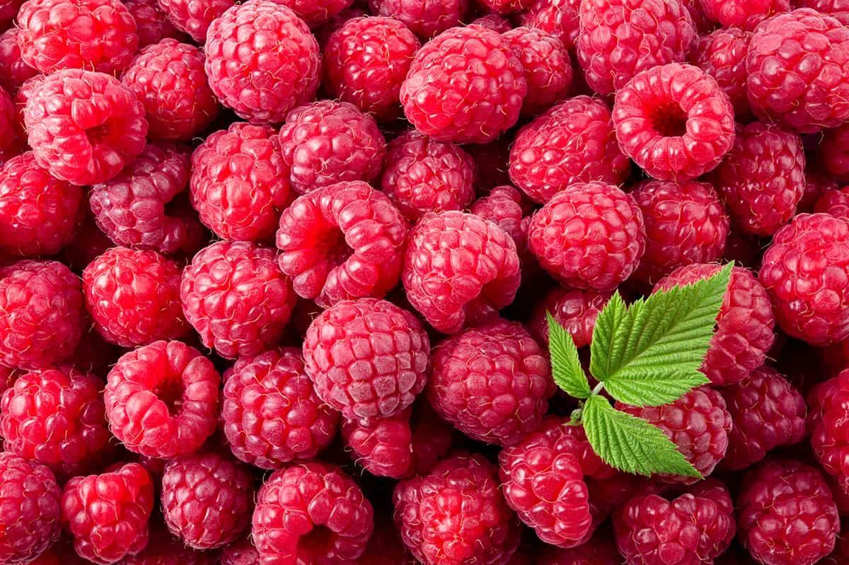 Raspberries in a Firework Parfait