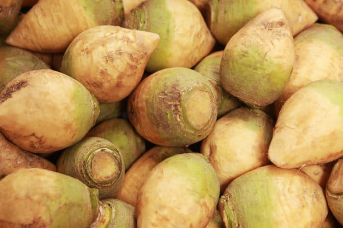 rutabaga on the shelf of supermarket