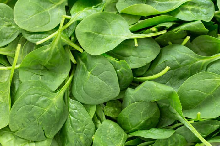 Close up of spinach leaves