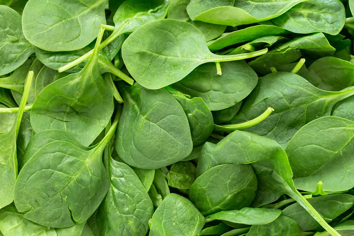 spinach for stuffed turkey 