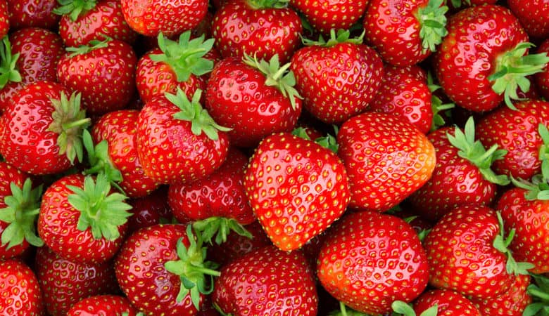 Lots of strawberries as a background