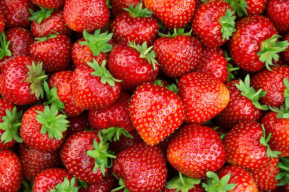 strawberries for PB & Fruit Roll Ups 