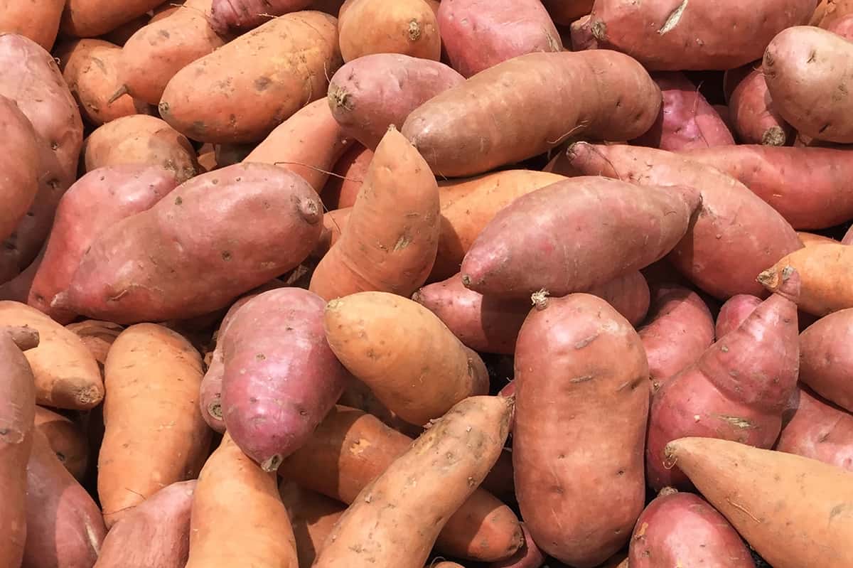 Box of sweet potatoes