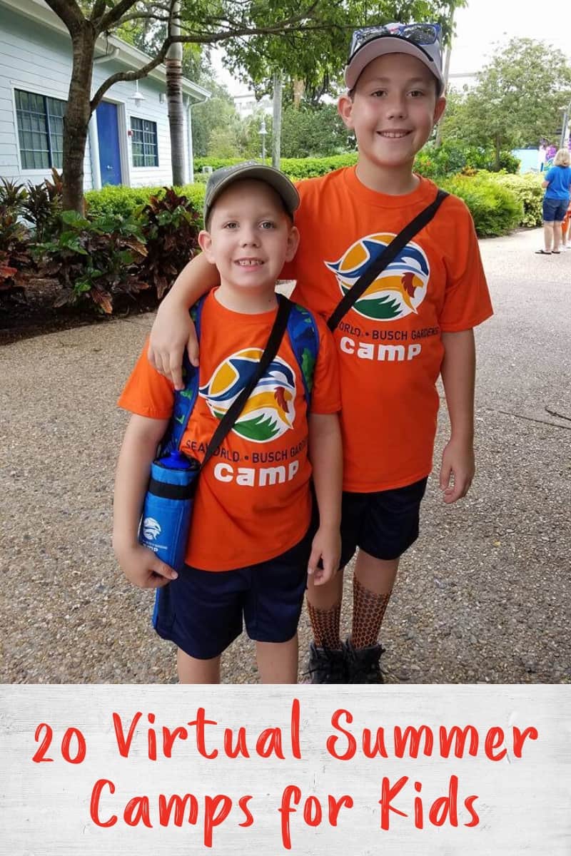 20 Virtual Summer Camps for Kids Produce for Kids