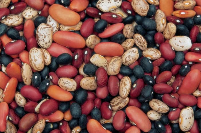 Close up of mixed dry beans