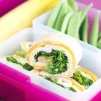 Best Lunchbox Pinwheel Recipes