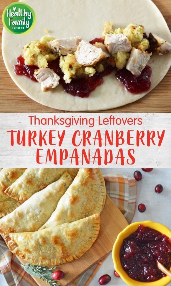 Turkey Cranberry Empanadas - Healthy Family Project