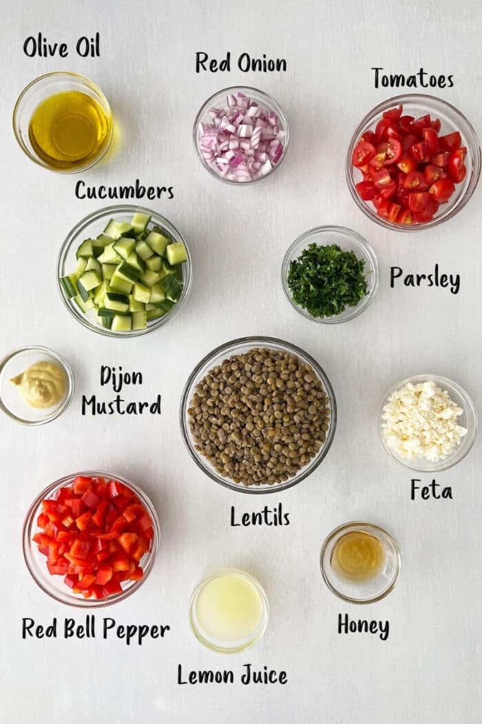 Mediterranean Lentil Salad Recipe | Healthy Family Project
