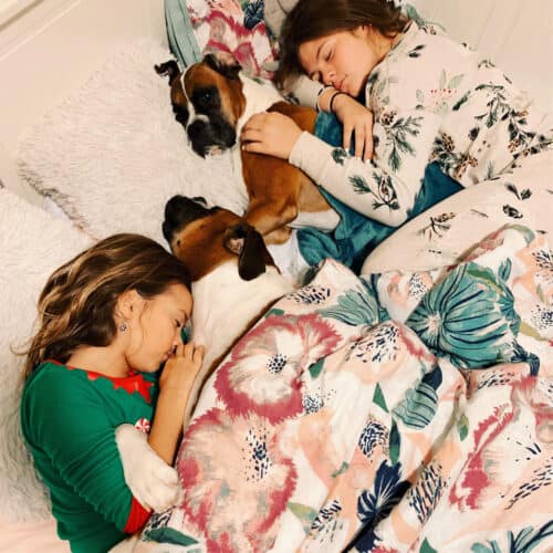 Best Bedtime Snacks For Kids From A Registered Dietitian Healthy